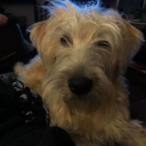 Meet your Posher, Crystal